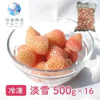 淡雪 500g×16パック / 冷凍フルーツ デザート 苺 いちご イチゴ 国産