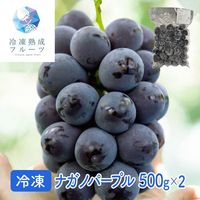 ナガノパープル 500g×2パック / 冷凍フルーツ デザート 葡萄 ぶどう ブドウ