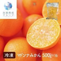 マドンナみかん 500g×16パック / 冷凍フルーツ デザート ミカン 国産