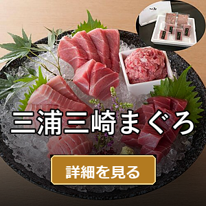 三浦三崎まぐろ