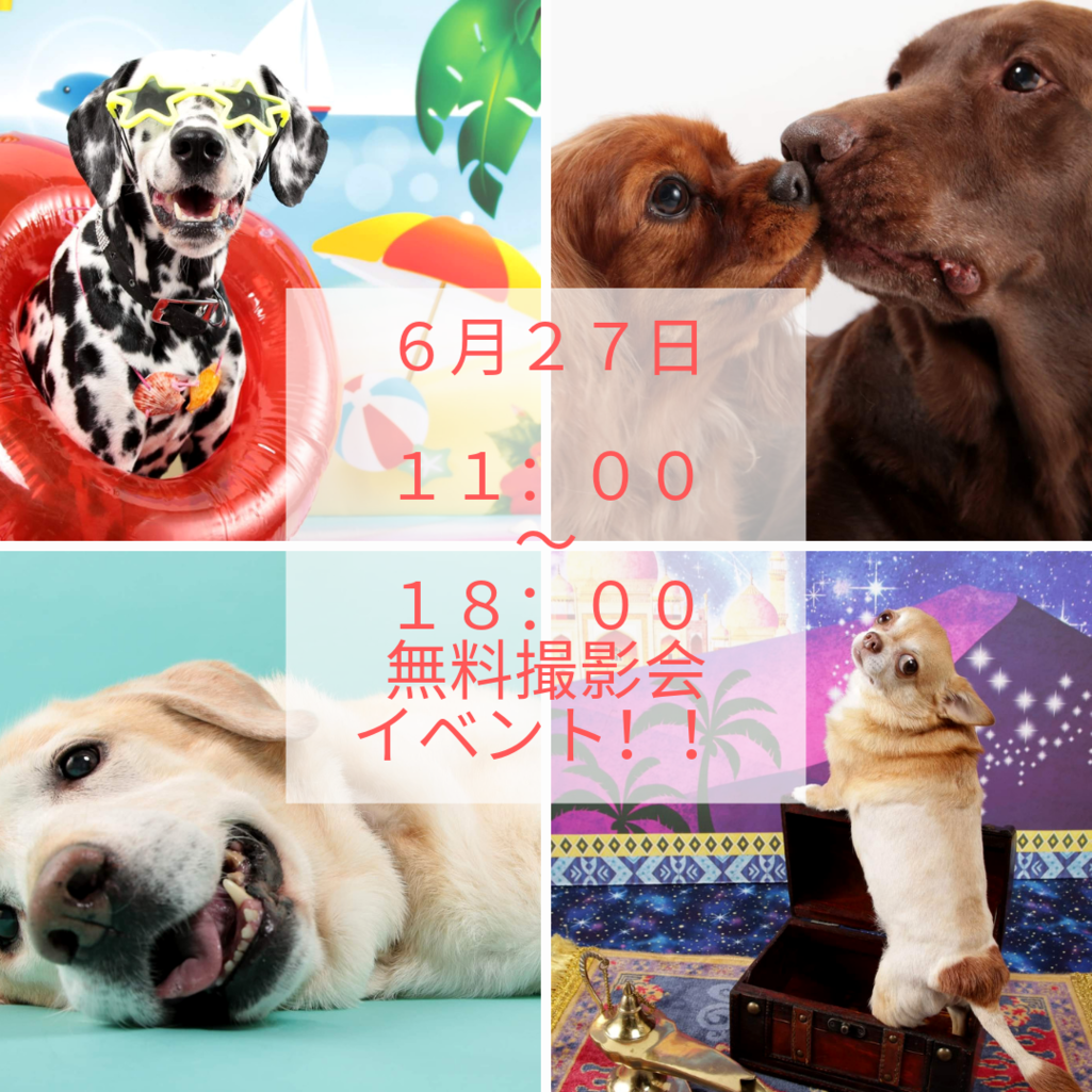 img_20190605-014014.png