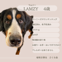 img_20221218-145849.png