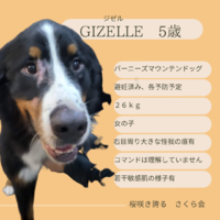img_20221218-145915.png