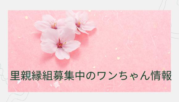 img_20230119-105334.png
