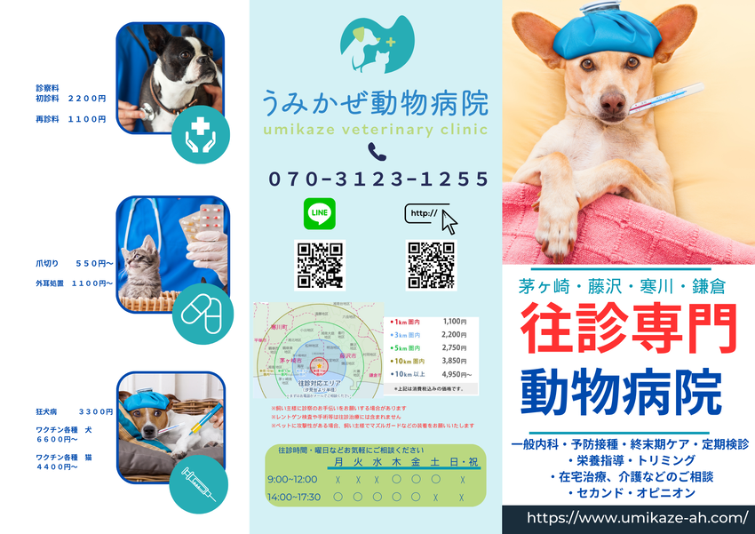 img_20231122-121750.png