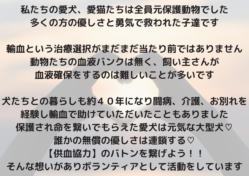 img_20231217-193733.png