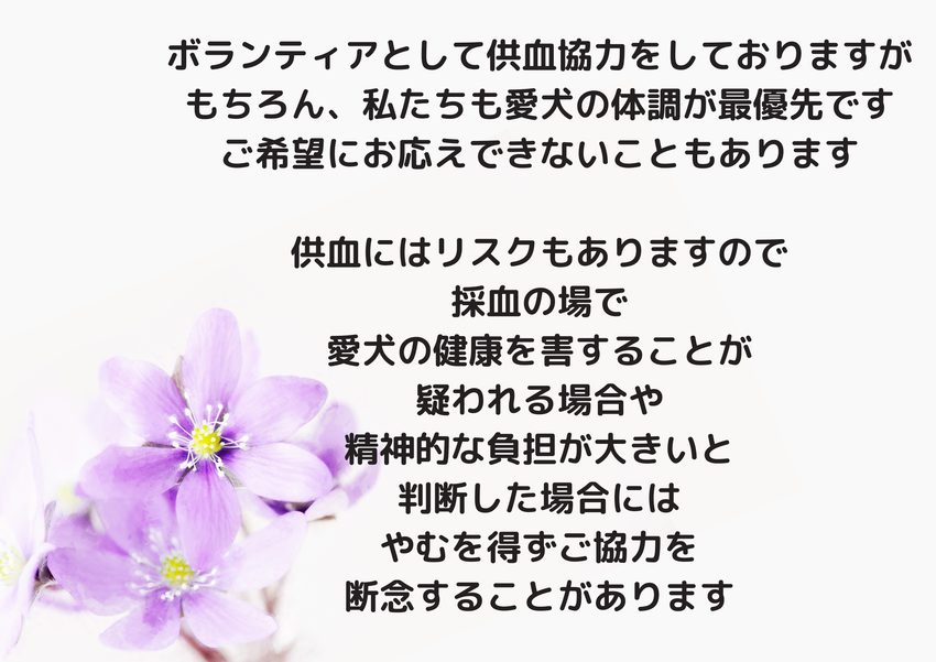 img_20231217-193757.png