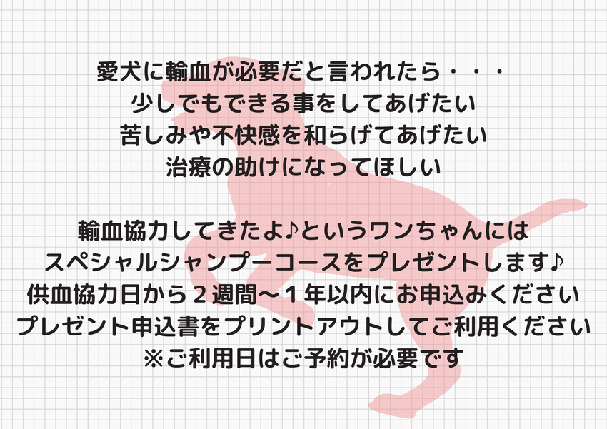img_20231217-193817.png