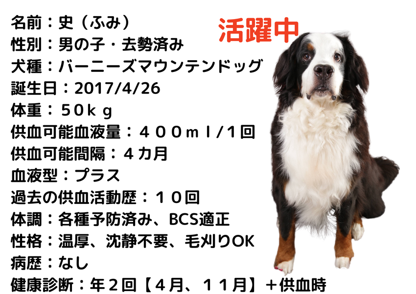 img_20231217-193925.png
