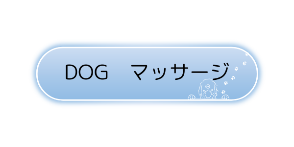 img_20240313-133738.png