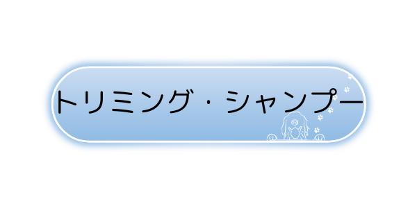 img_20240313-133808.png
