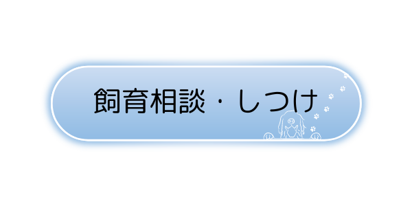 img_20240313-133857.png