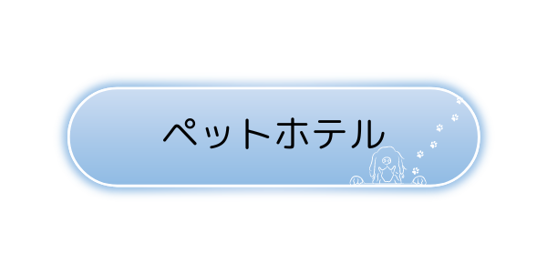 img_20240313-133934.png
