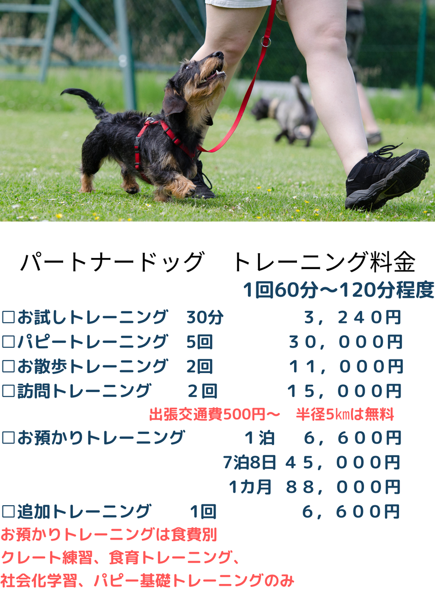 img_20240317-171842.png