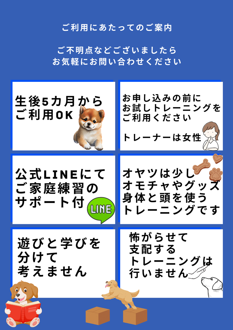 img_20240317-171901.png