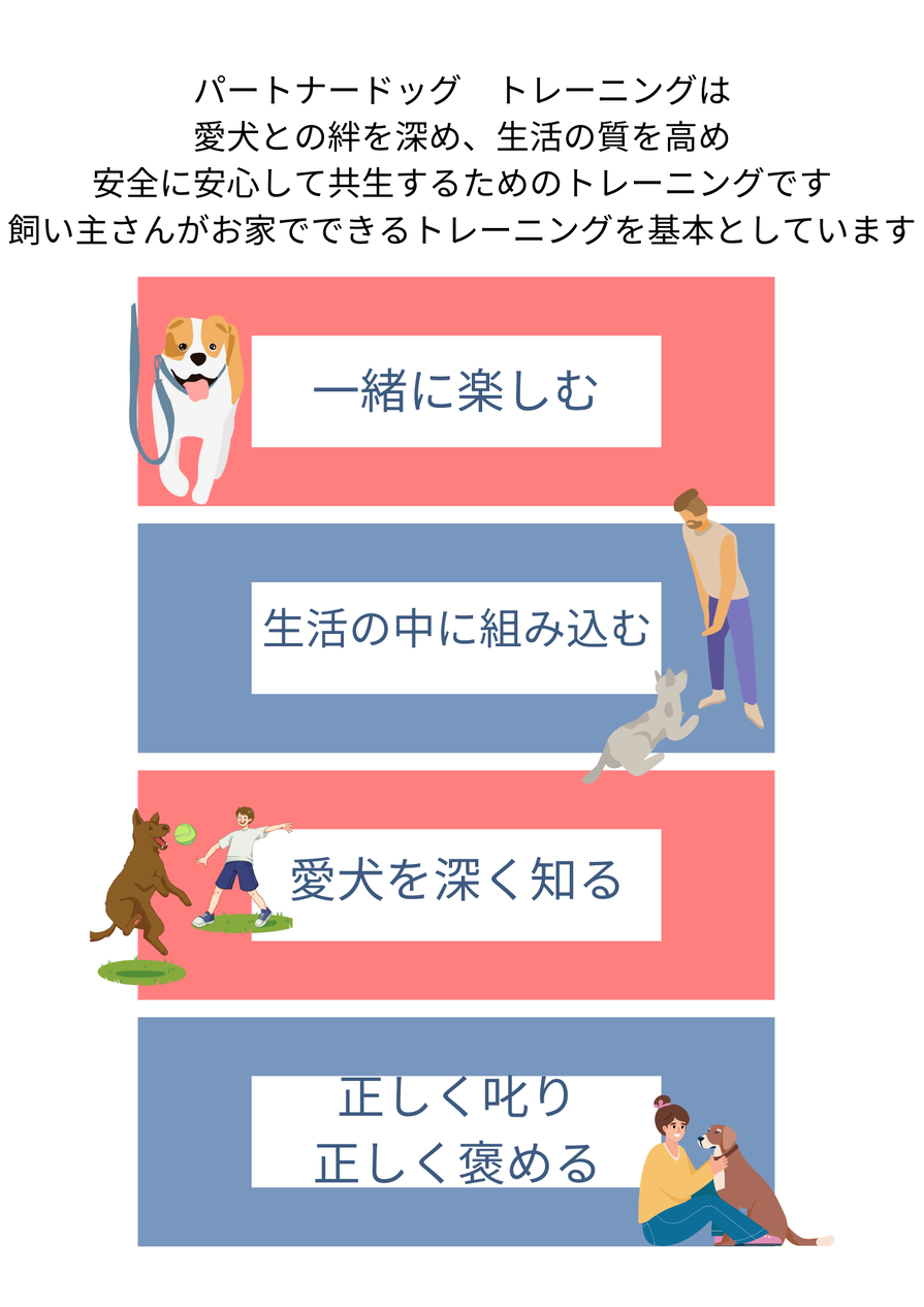 img_20240317-171928.png