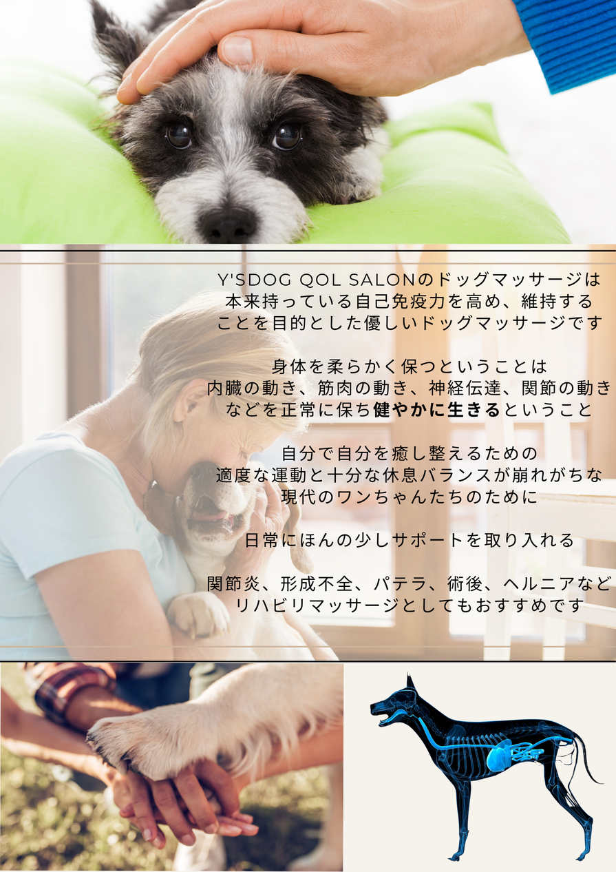 img_20240324-115032.png