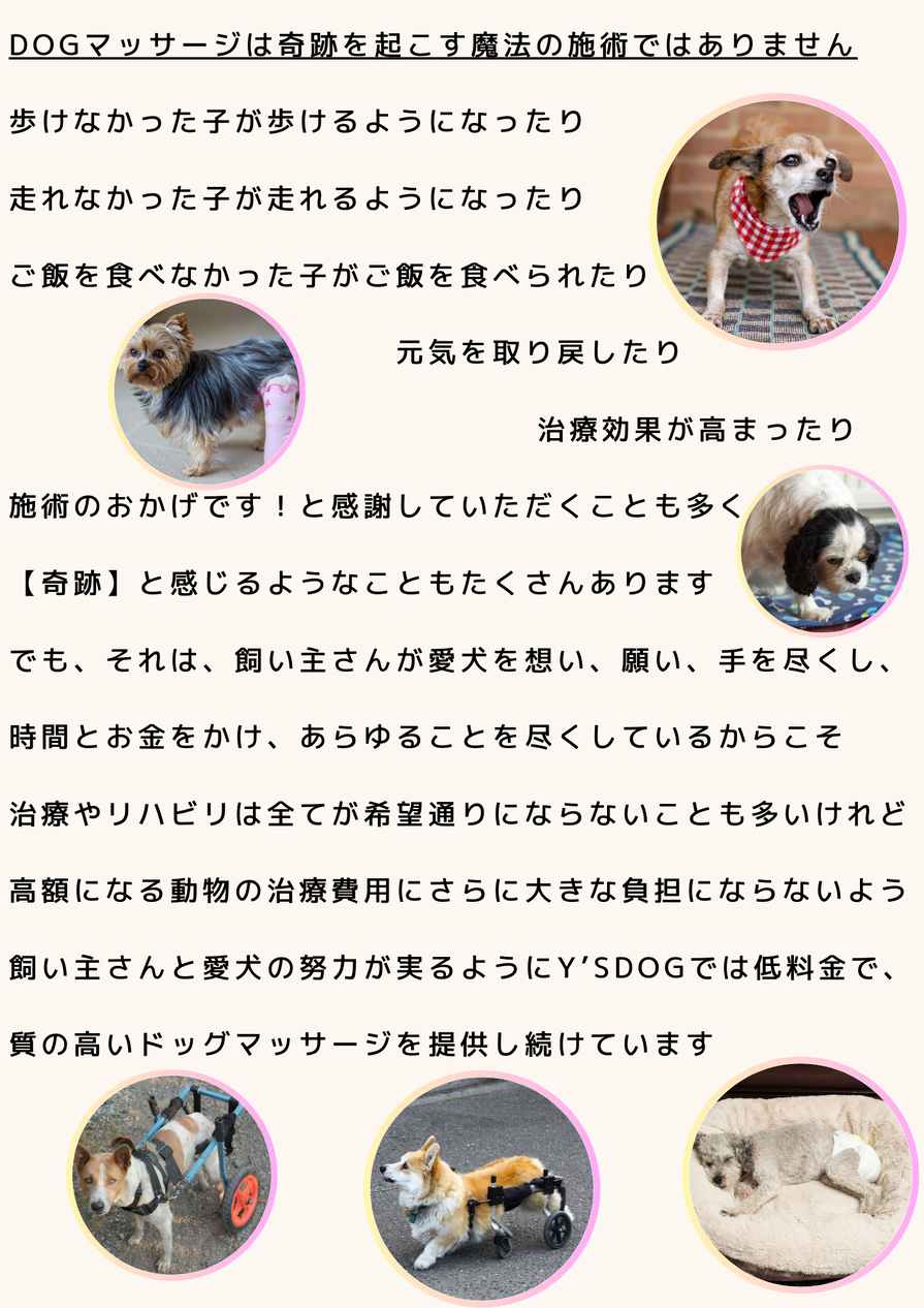 img_20240324-115139.png