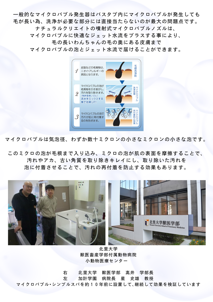 img_20241101-182209.png