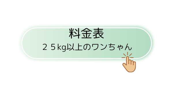 img_20241101-184113.png