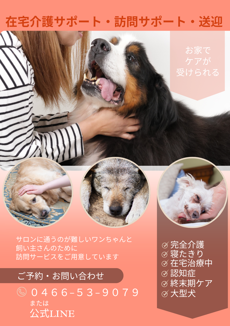 img_20250730-185615.png