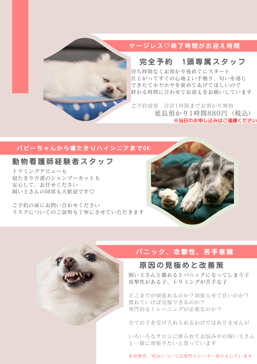 img_20250912-121324.png