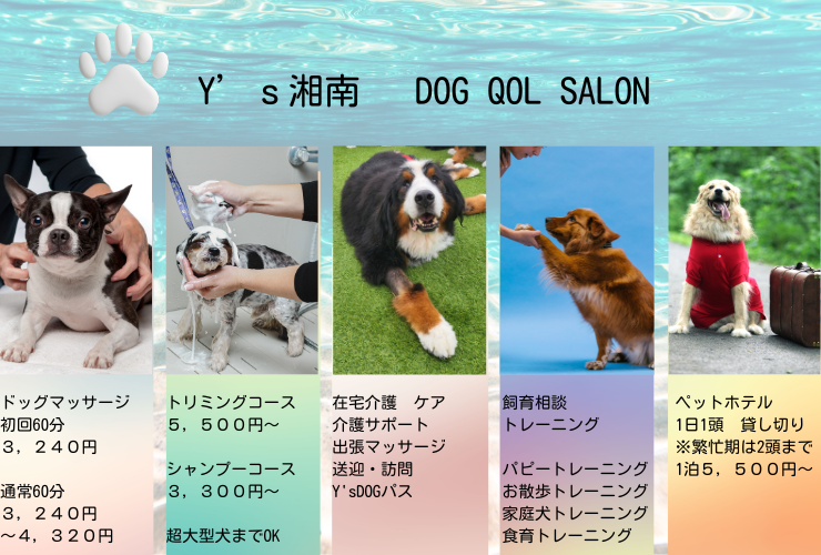 img_20250912-130824.png