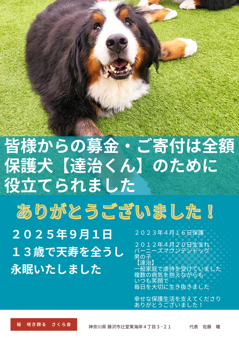 img_20250912-172131.png