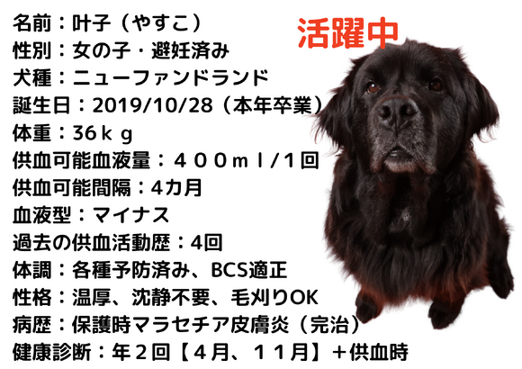 img_20260419-193224.png