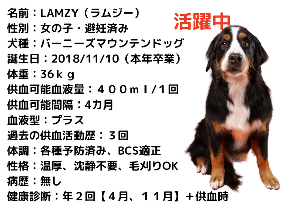 img_20260419-193320.png