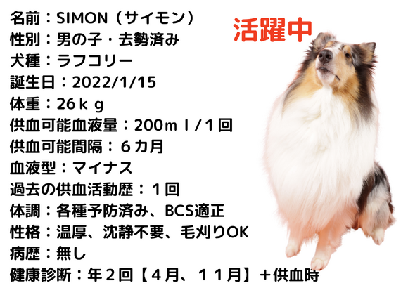 img_20260419-193402.png