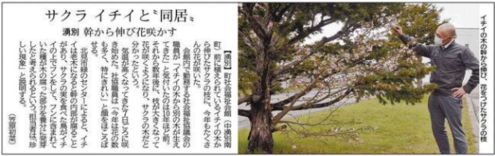 img_20210512-233511.png