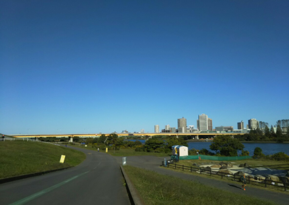 img_20201108-133131.png